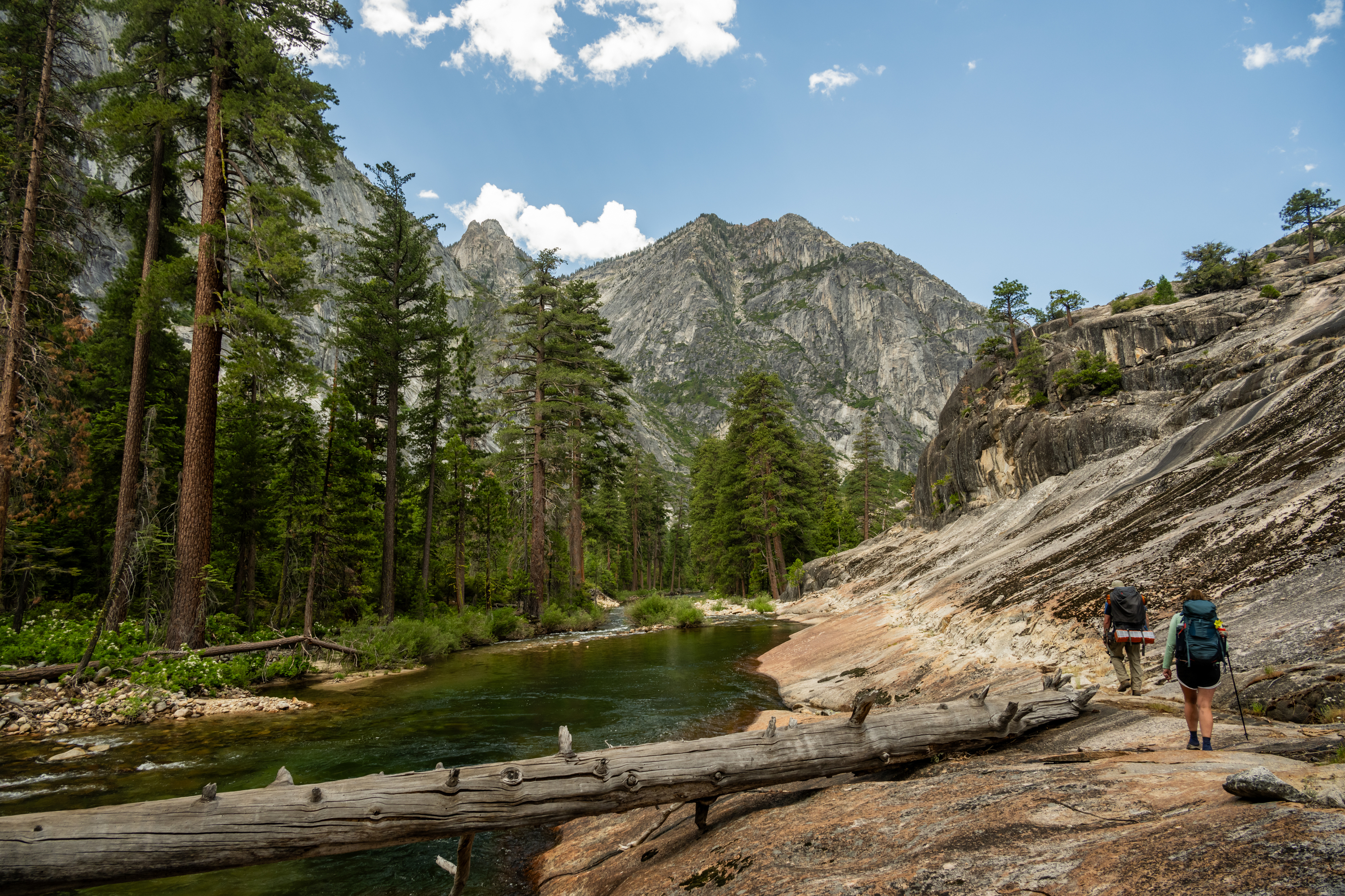 ¡Desconéctate en la naturaleza! Las mejores rutas de senderismo para explorar en California