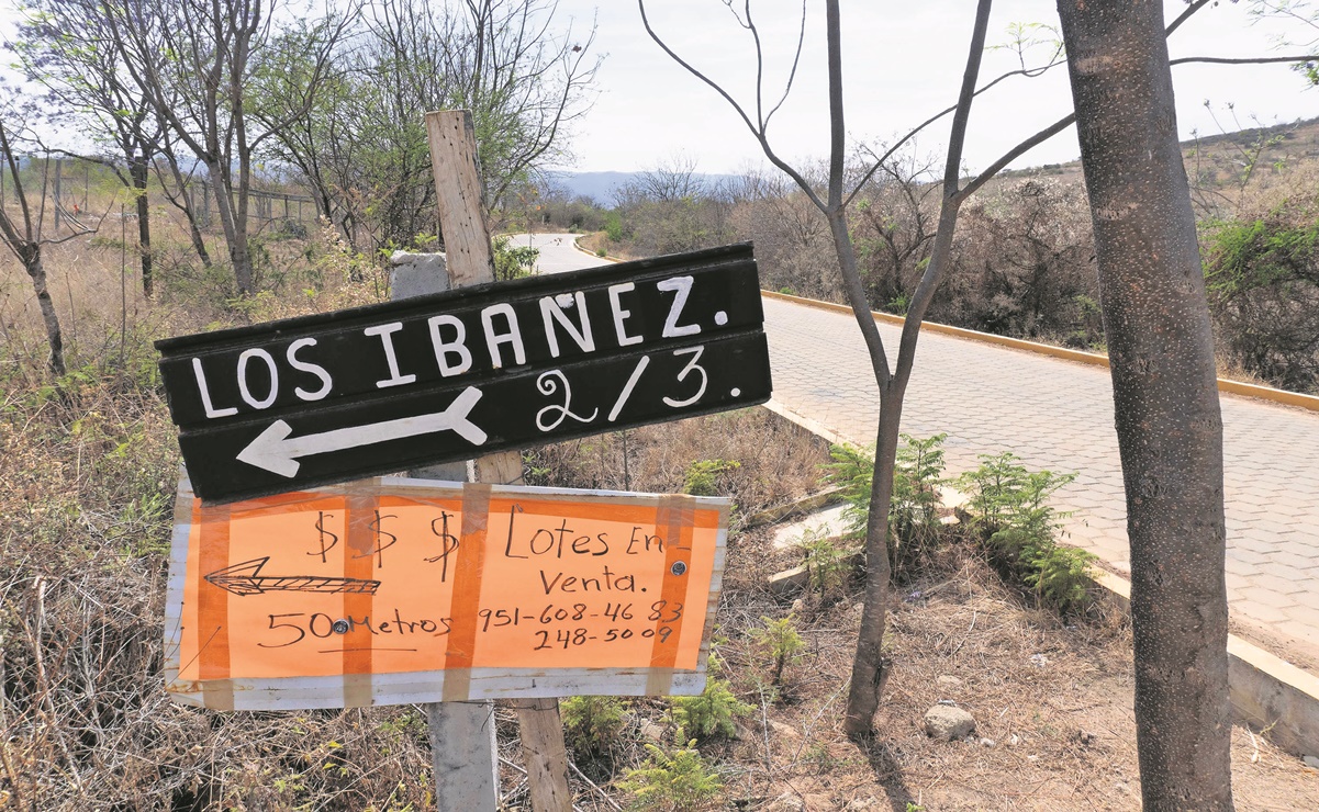 Contradicciones sobre carretera que divide a Monte Albán