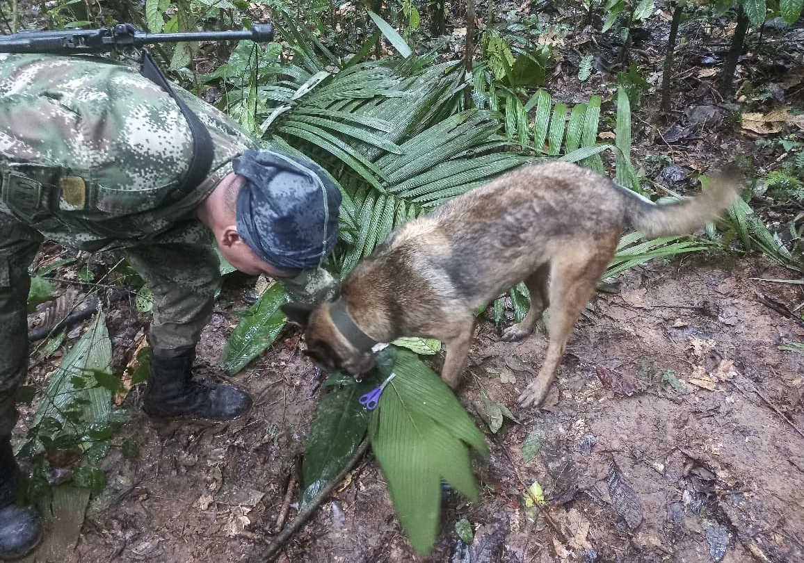 Presidente Petro se retracta sobre rescate de 4 niños en selva colombiana