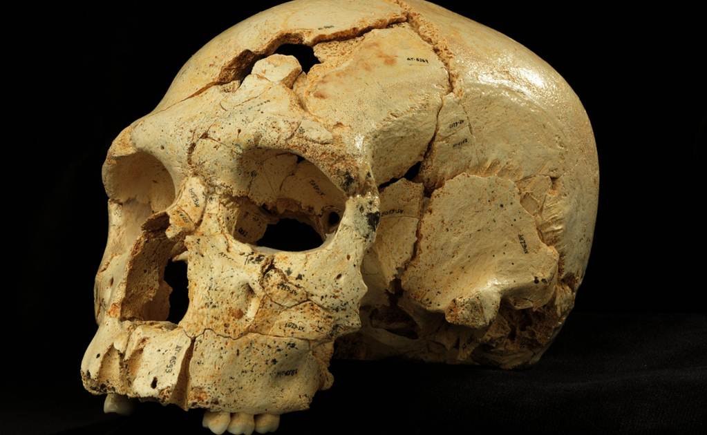 Desentierran cráneos de homínido de más de 400 mil años