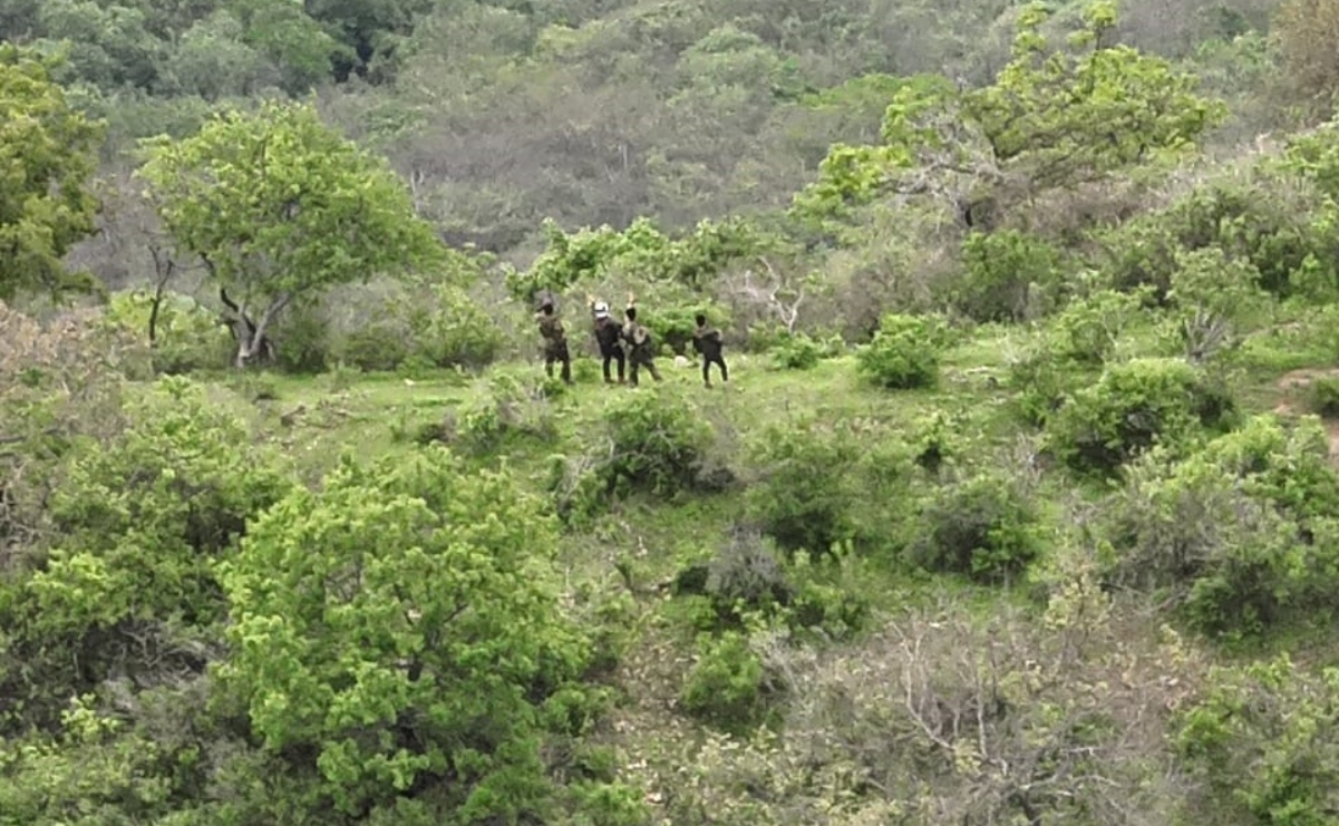 CJNG continúa atacando y desplazando a familias de localidades en los límites de Jalisco y Michoacán