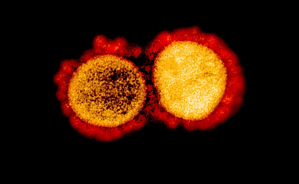 Variante británica del coronavirus es 45 % más contagiosa que la original: estudio