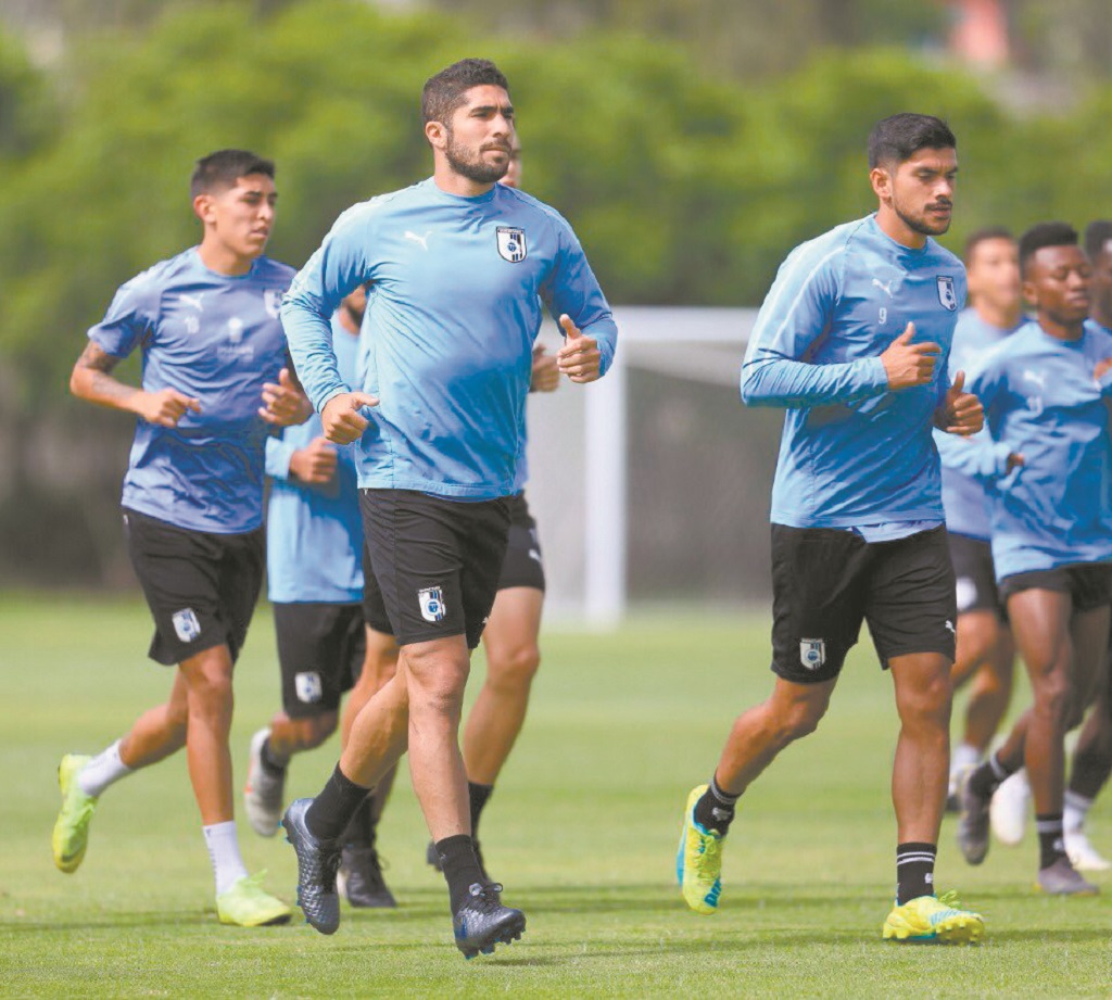 Gallos, a cantar en la perrera