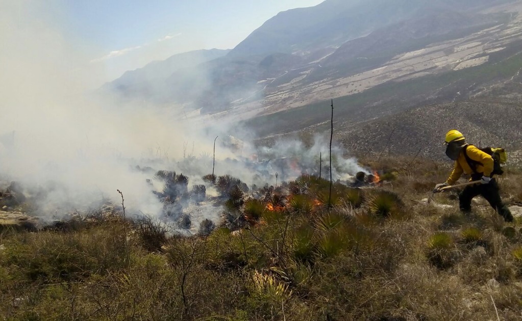Incendio forestal consume 20 hectáreas en Nuevo León