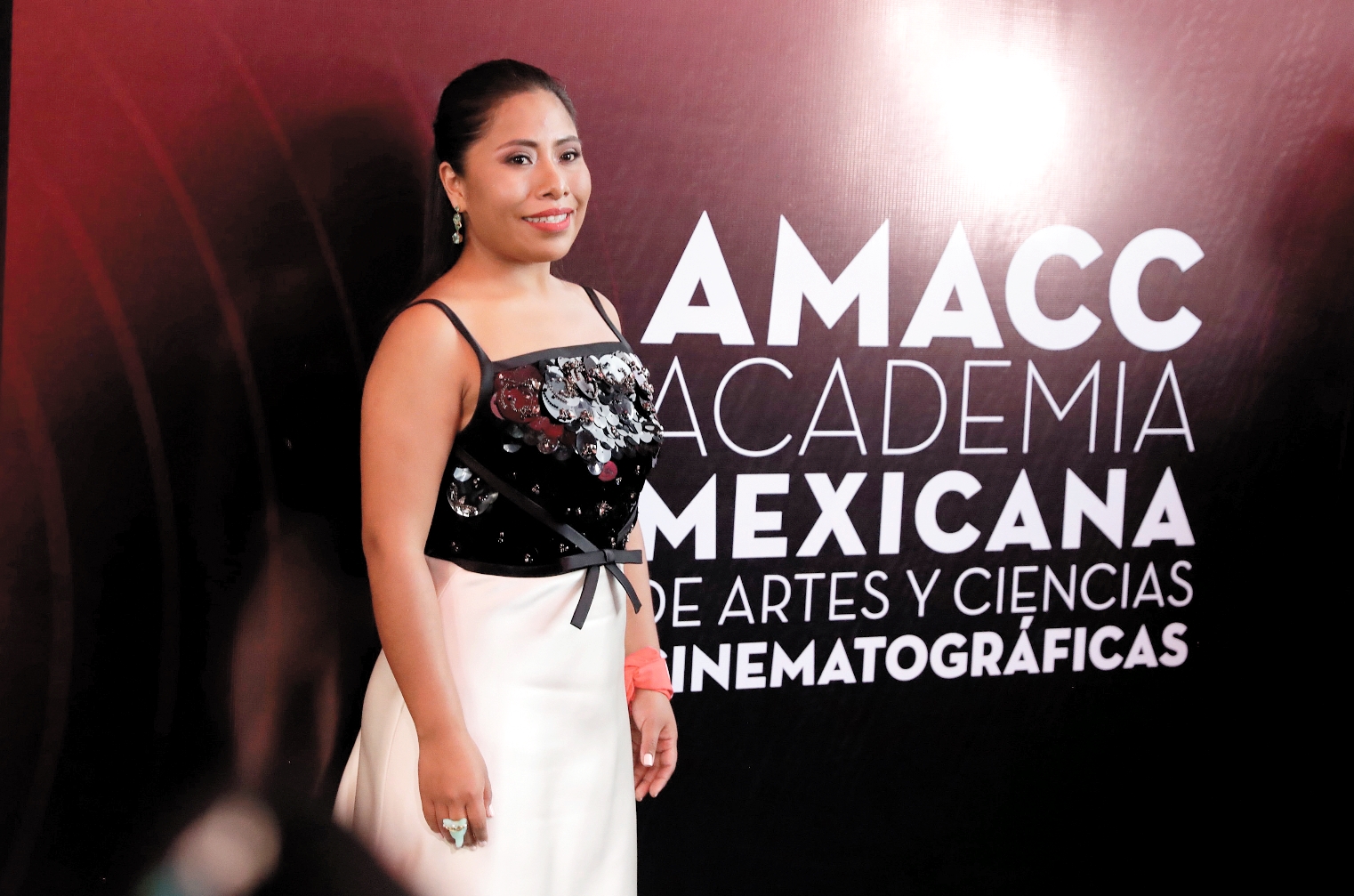 ‘Roma’ wins 10 prizes at Mexico’s Ariel Awards