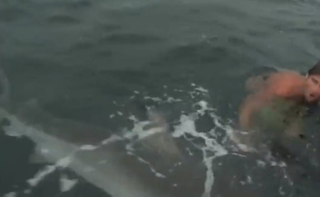 Captan en video el momento en que un tiburón queda cara a cara con un nadador 