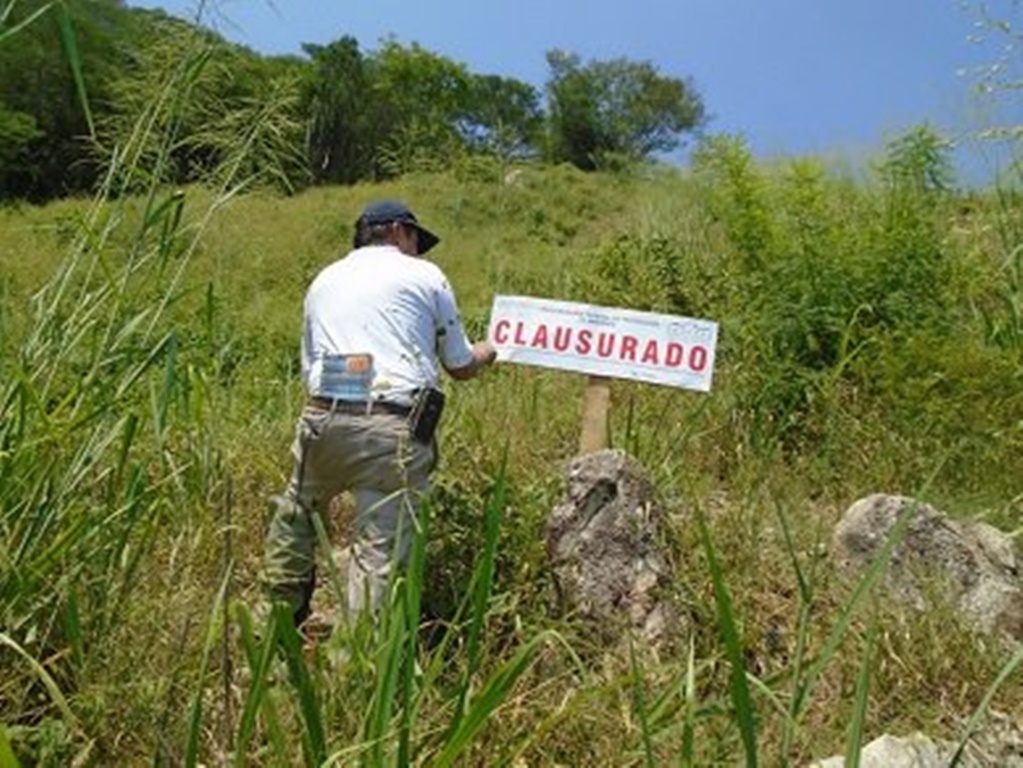 Clausura Profepa dos predios en Colima por cambio en uso de suelo 