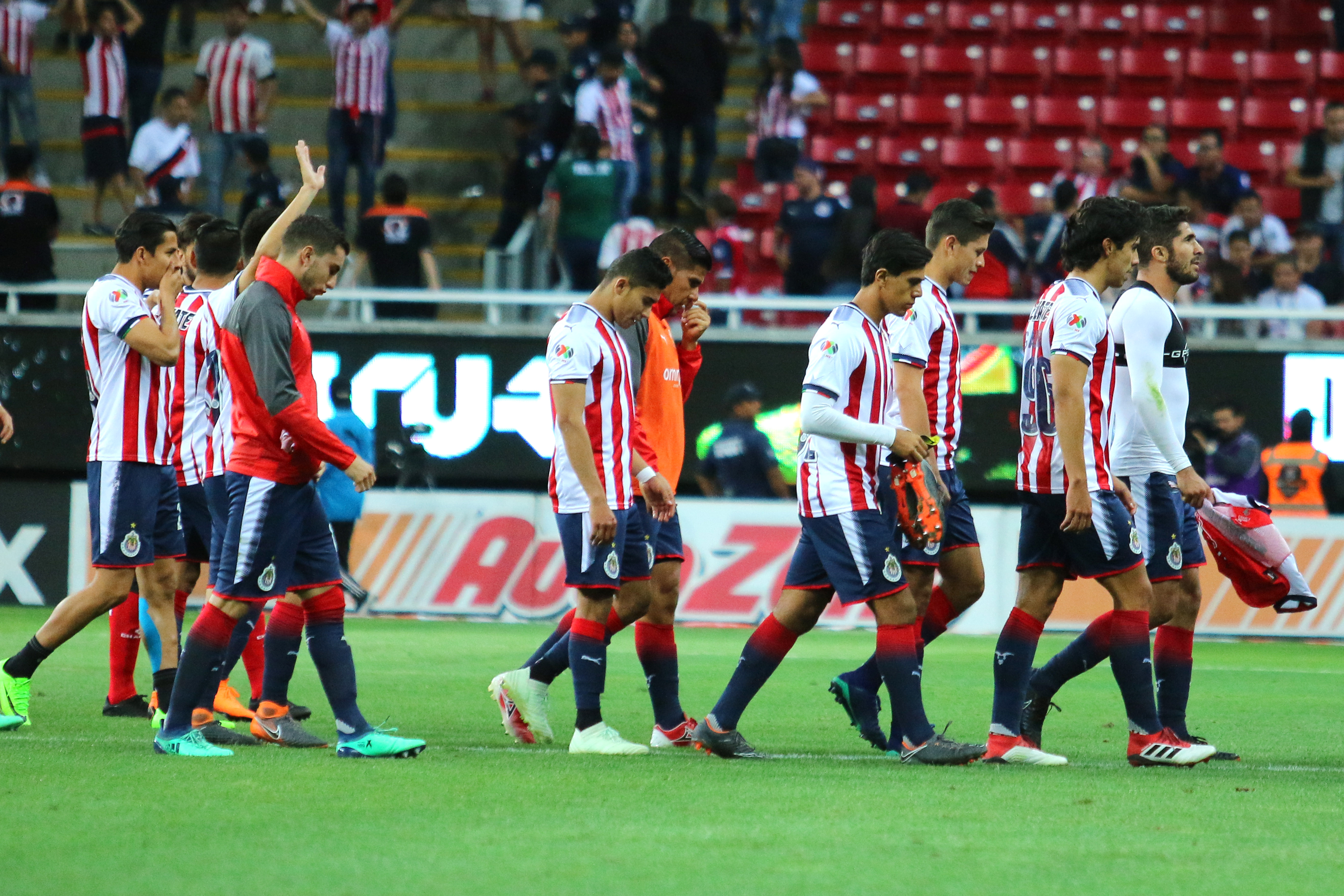 Chivas insultó al que le da de comer