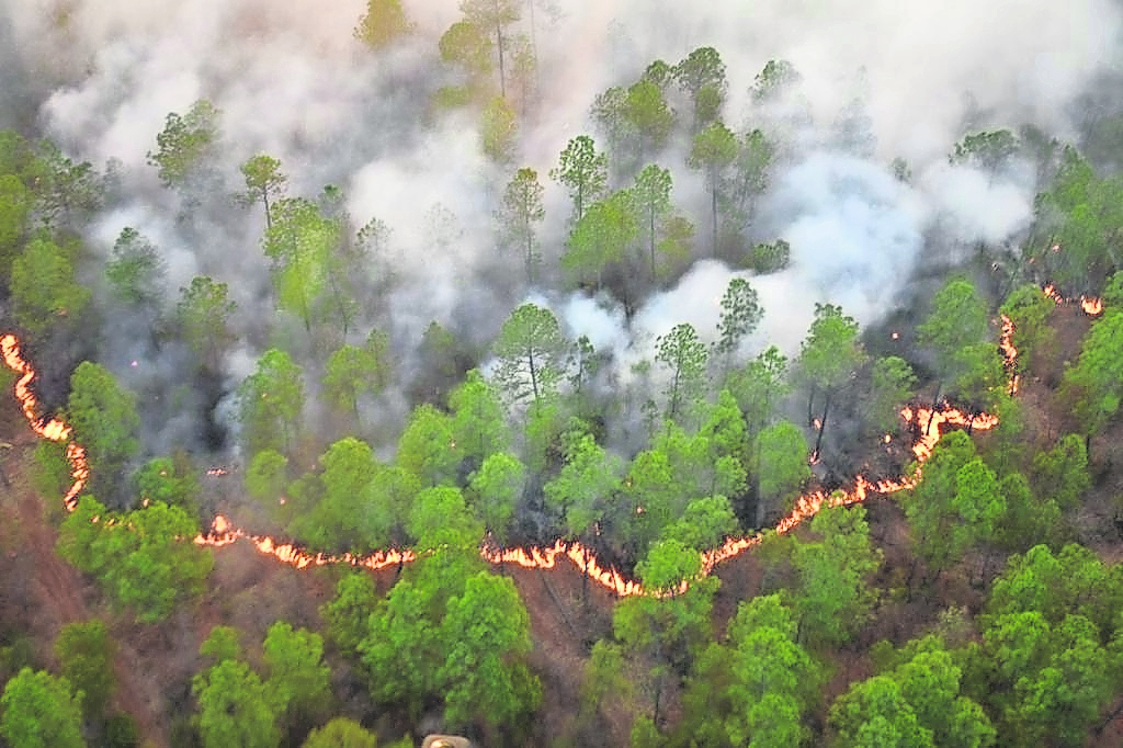 Registran aumento de incendios forestales