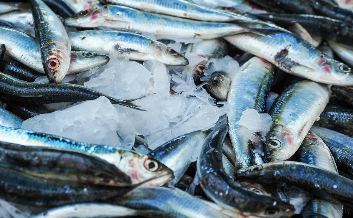 Estos son los precios de pescados y mariscos en cuaresma