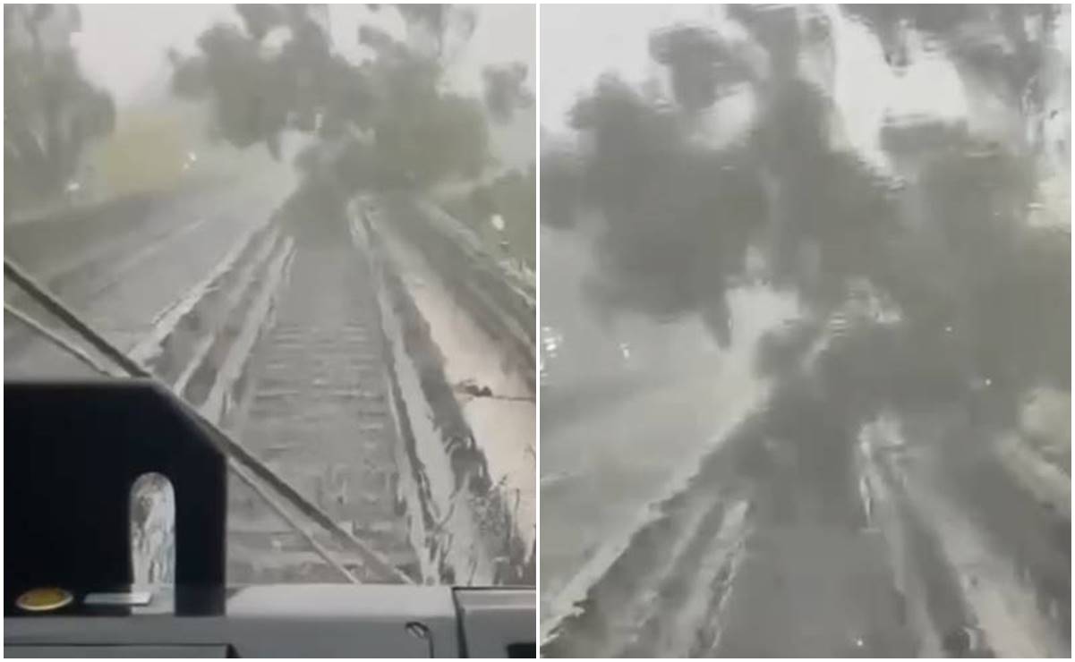 Árbol cae sobre vías de la Línea 4 del Metro; tras 2 horas de trabajo, ya fue restablecido el servicio