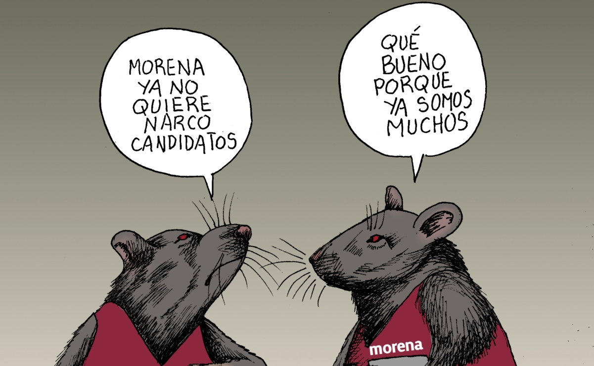 Cupo limitado