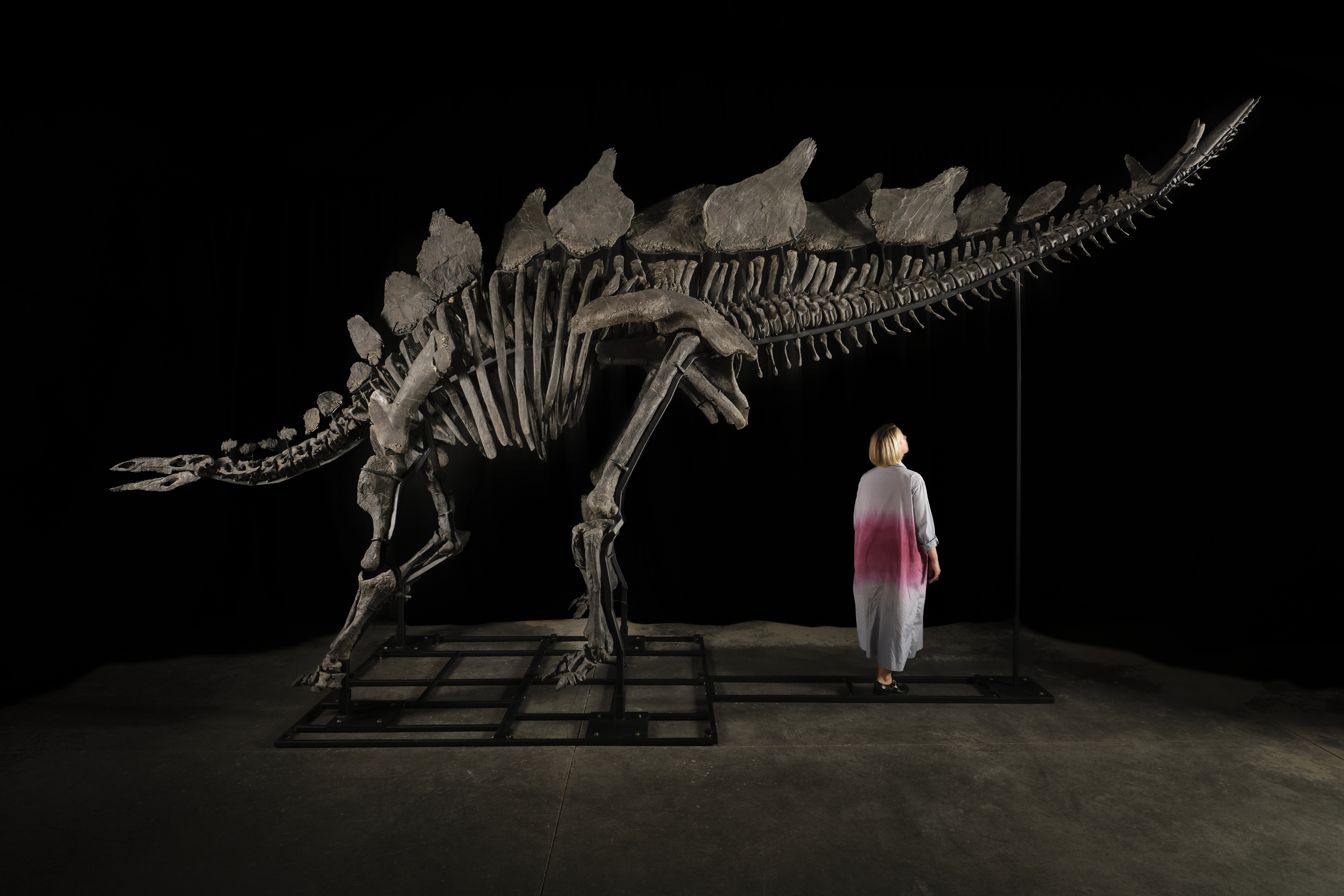 Quién es el multimillonario que compró el esqueleto de dinosaurio más caro del mundo