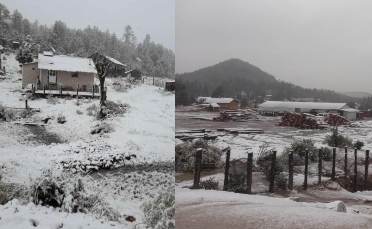Frente Frío 28 desata tormenta invernal en 10 municipios de Durango