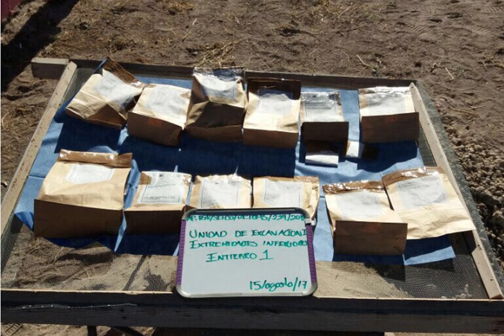 Restos óseos hallados en fosa de Tijuana son enviados a CDMX