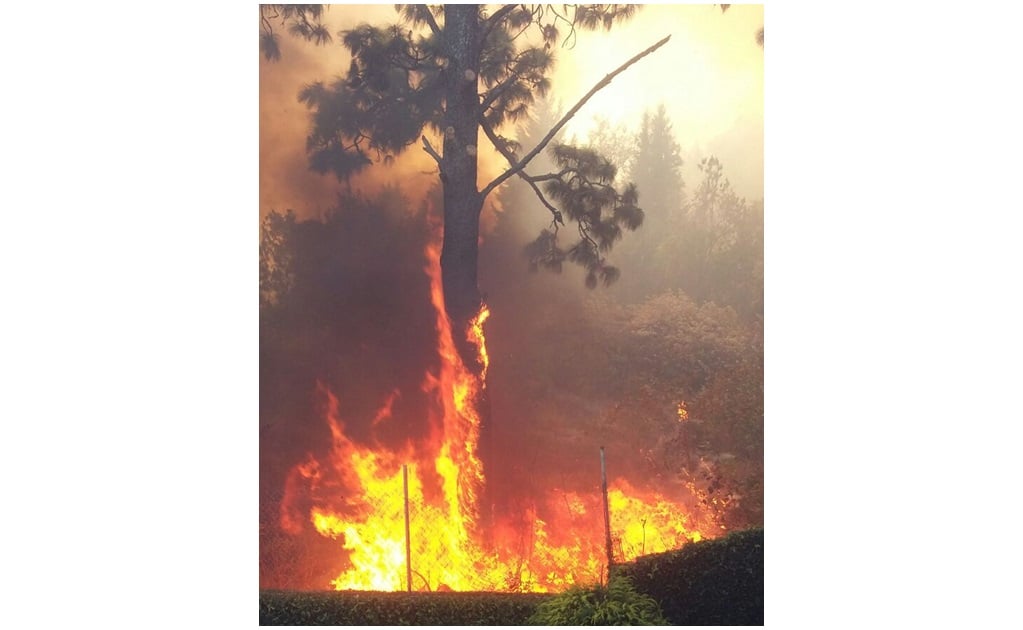 Reportan 10 incendios forestales al norte de Morelos