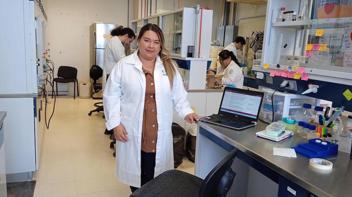 Desde la UNAM Juriquilla, estudian el uso de polímeros para la salud 