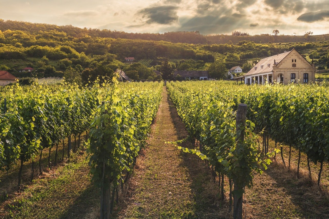 N-122 Duero Valley, el destino para los hedonistas en Ribera del Duero 