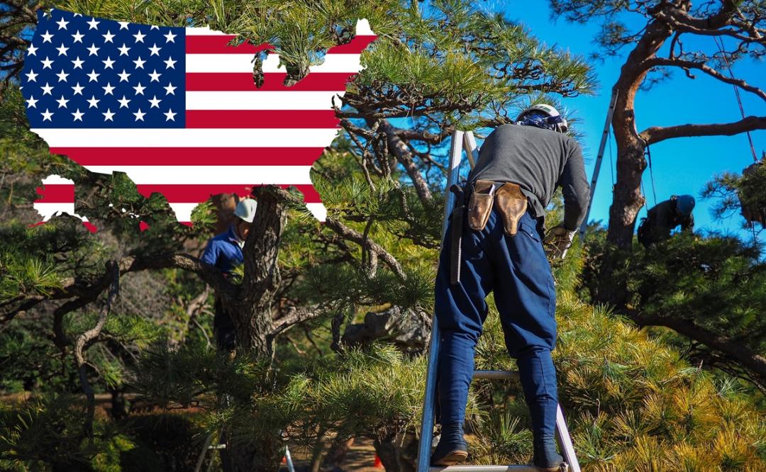 ¿Cuánto gana un trabajador forestal en Estados Unidos? ¿Hay vacantes?