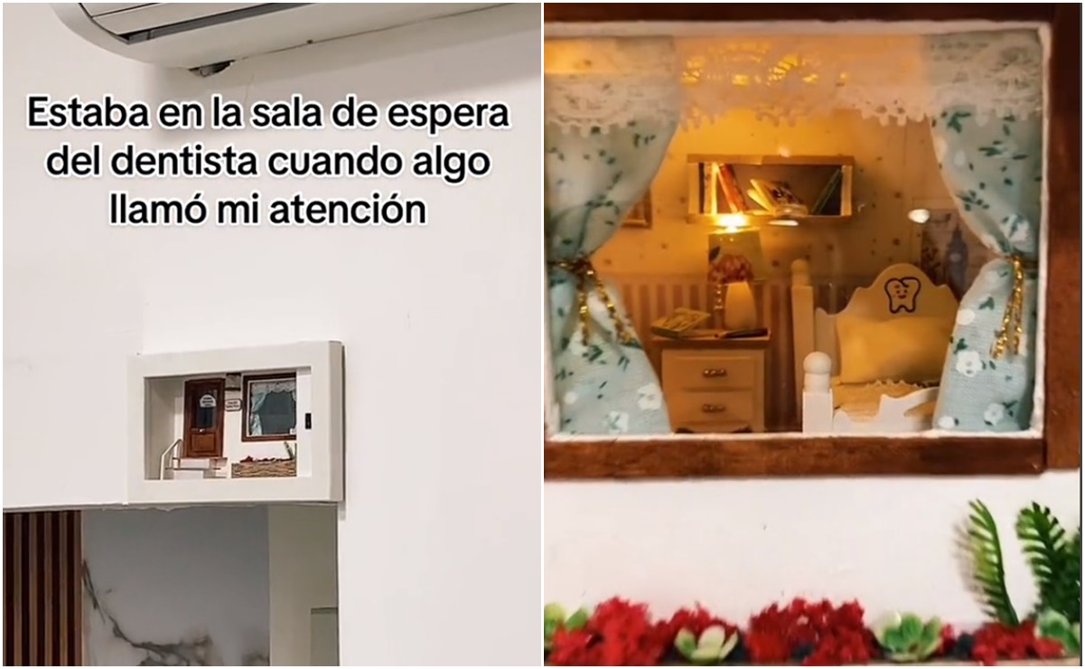 VIDEO: Dentista sorprende por tener la casa del ratón Pérez en su consultorio