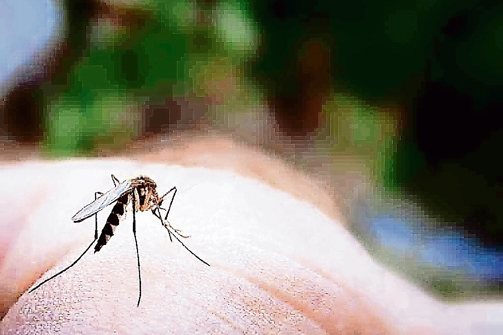 OPS reporta más de 175 mil casos de zika en 2016