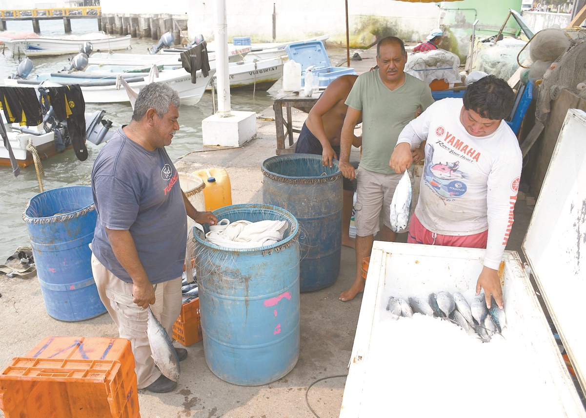 Así enfrentan los pescadores de Veracruz la pandemia 