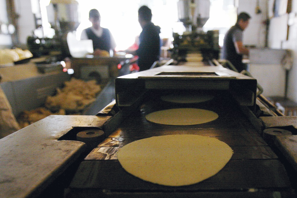 Advierten que precio de tortilla puede subir para cumplir con norma de maíz no transgénico