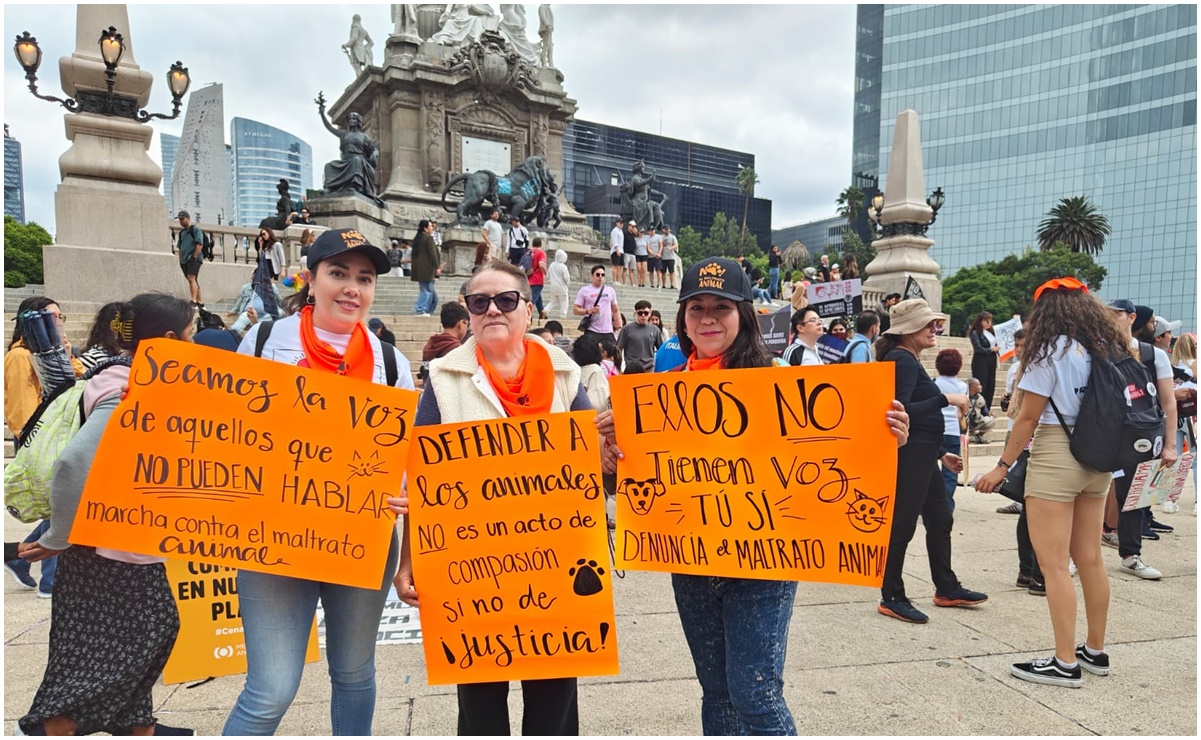 “Seamos la voz de aquellos que no pueden hablar”: Activistas exigen se castigue la tortura animal; piden se erradique la corrida de toros