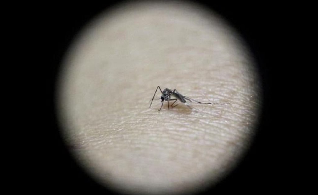 Mexico says 6 pregnant women infected with Zika