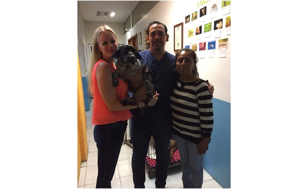 “Luna”, perrita maltratada en Oaxaca, tiene nueva familia en Suiza
