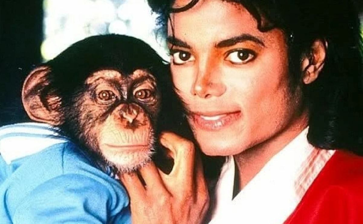 ¿Qué fue de Bubbles, el chimpancé de Michael Jackson?