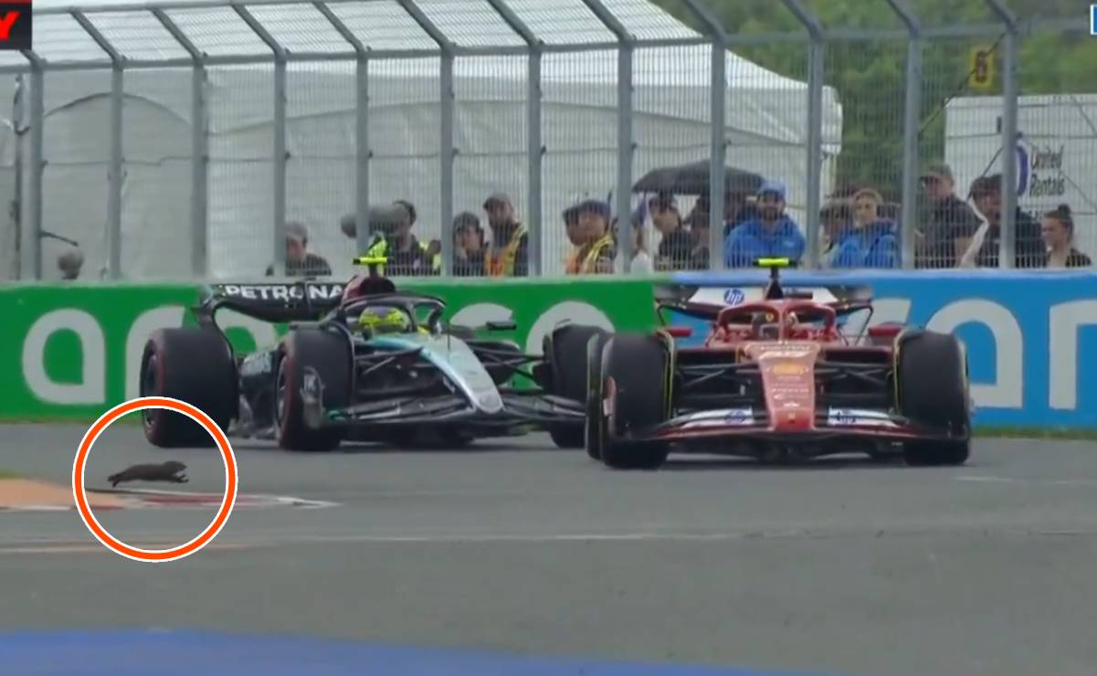 Marmota casi provoca un choque entre Lewis Hamilton y Carlos Sainz en prácticas del GP de Canadá