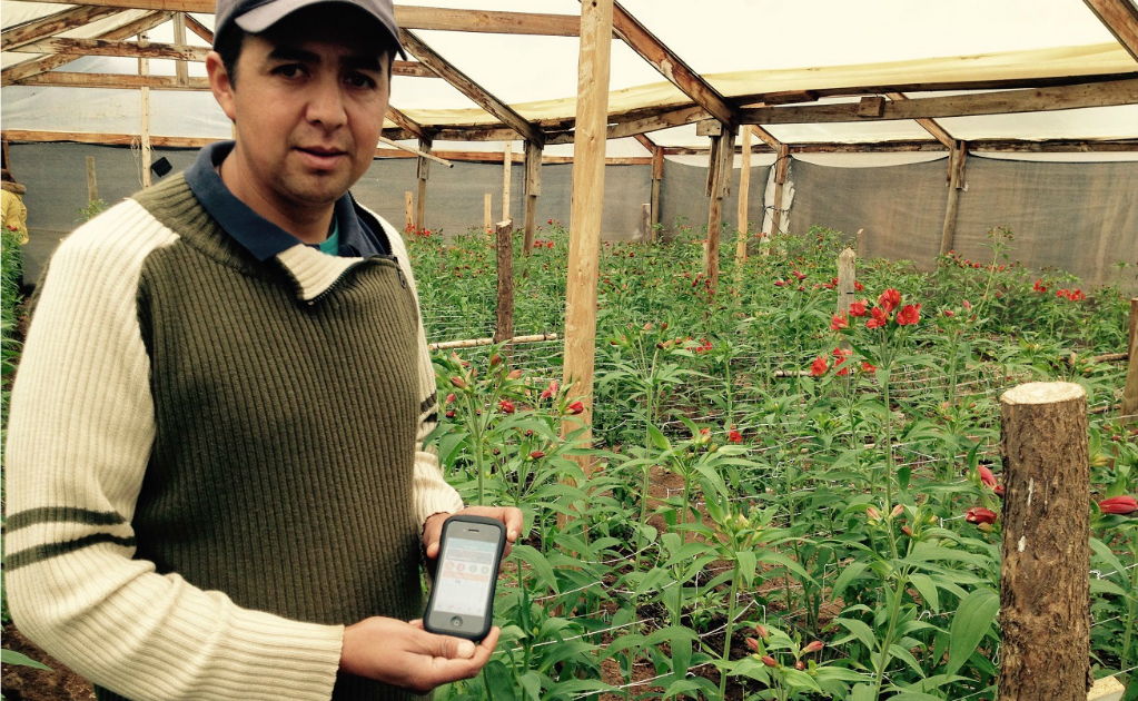 Plantas se "comunican" con sus agricultores mediante dispositivo