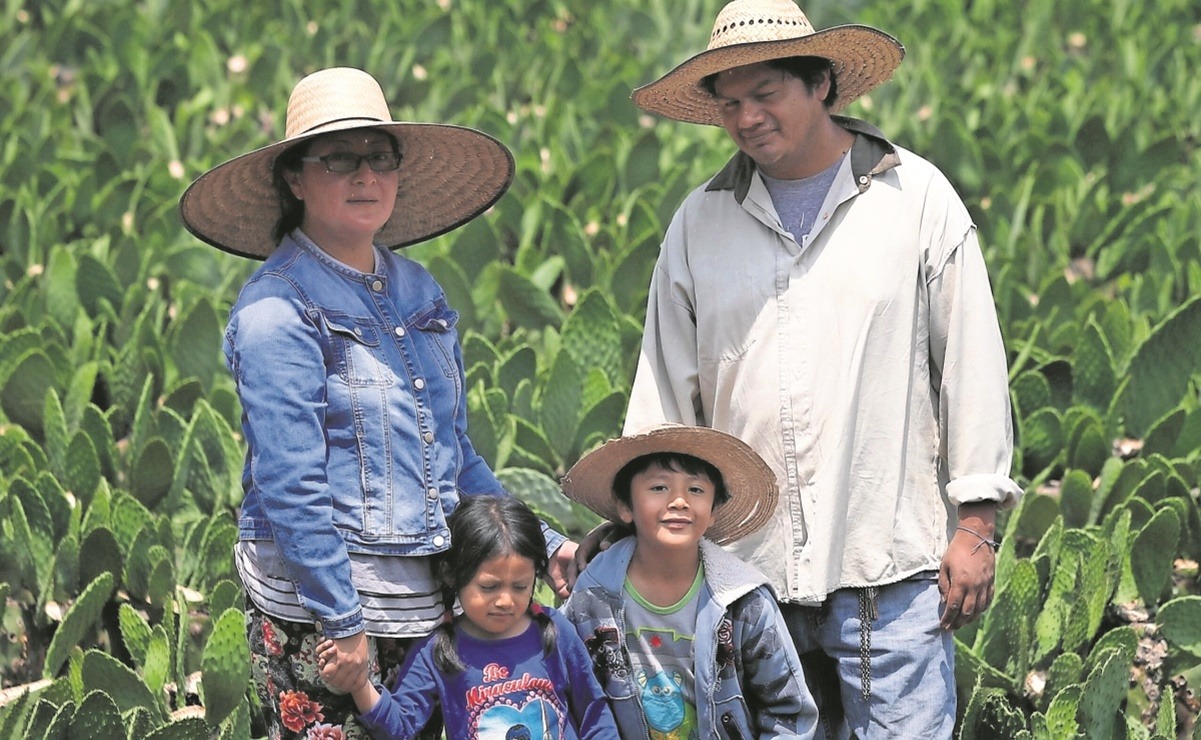 Población rural de México, mayor a la estimada: Cepal
