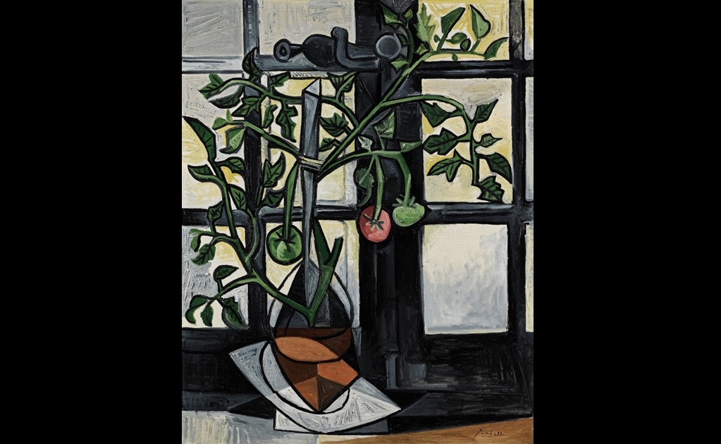 Subastarán "Planta de Tomate", de Picasso