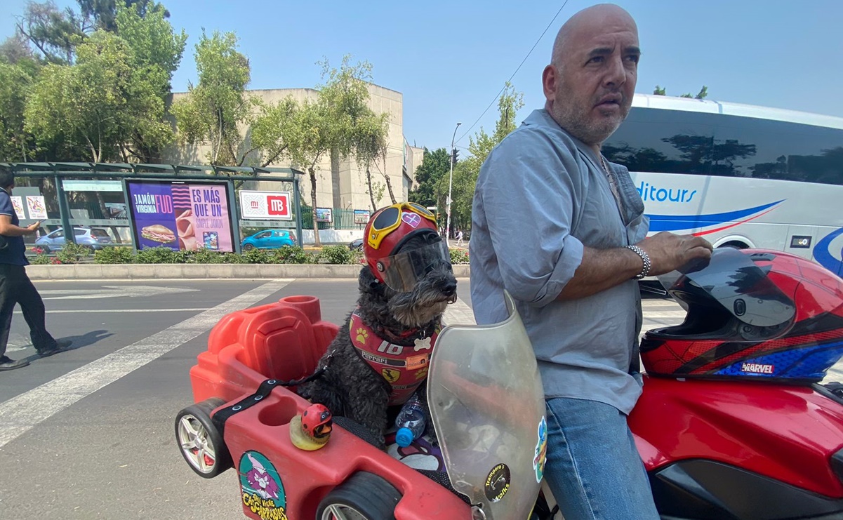 “Frijol”, el lomito biker que recorre las calles de la CDMX