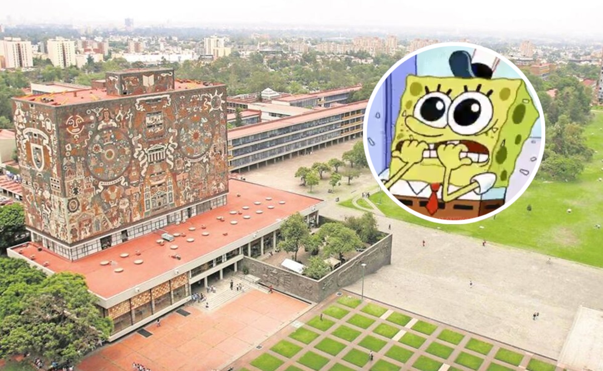 Resultados UNAM 2024: los mejores memes para quitar los nervios y festejar a lo grande