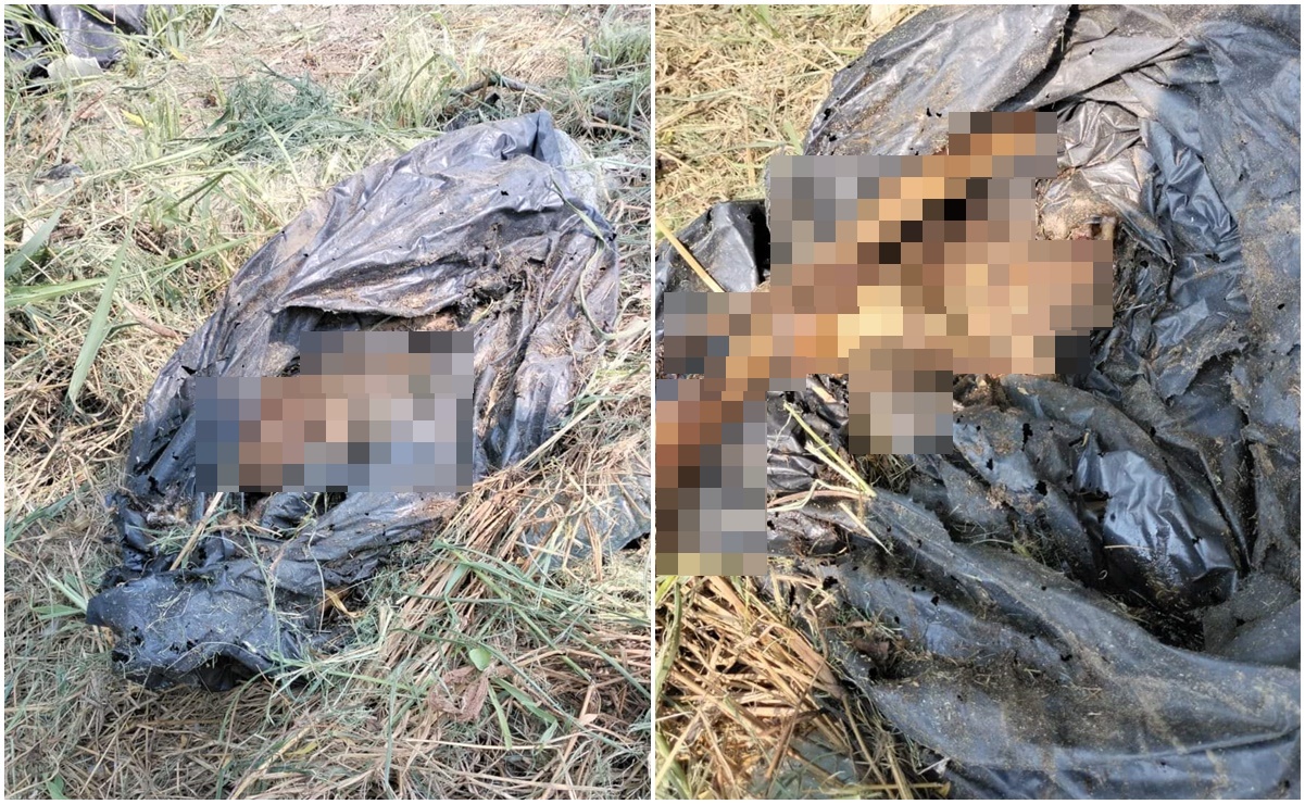 Colectivo encuentra restos humanos en bolsas negras en Reynosa, Tamaulipas