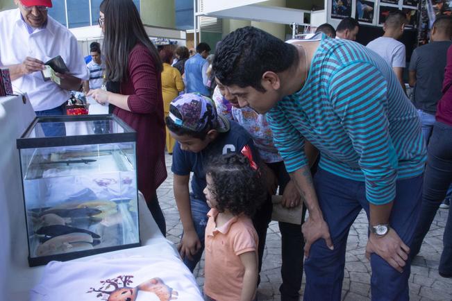 El ajolote, el enigmático anfibio mexicano