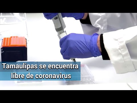 Profesor del IPN en Tamaulipas, negativo al nuevo coronavirus