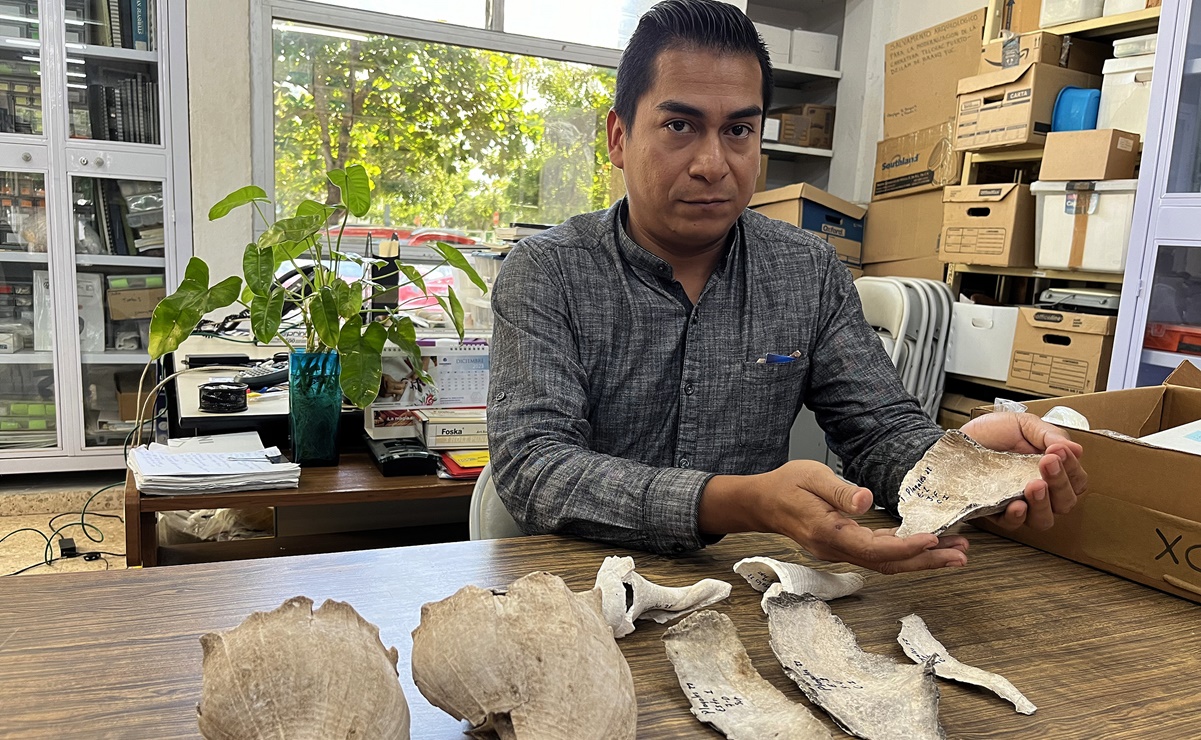 Descubren en Yucatán campamento prehispánico donde mayas cocinaban caracoles para alimentarse