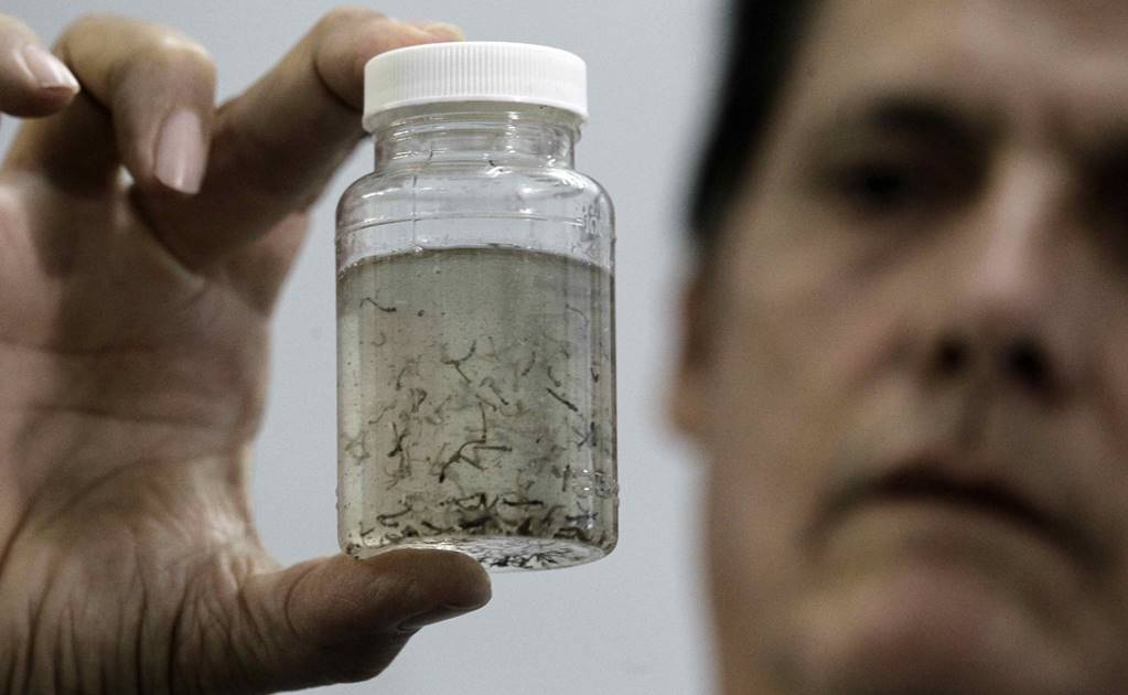 EU reporta 31 casos de zika; ensayos de vacuna a fin de año
