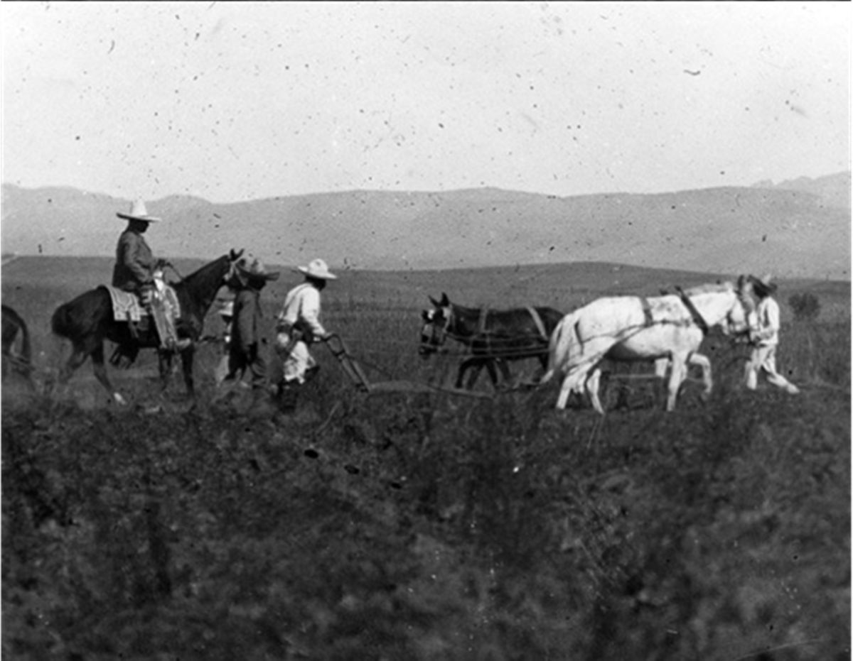 “La agricultura es la vida de muchos pueblos, y en México la tenemos abandonada…”: 100 años de la entrevista a Villa (parte 6 de 7)