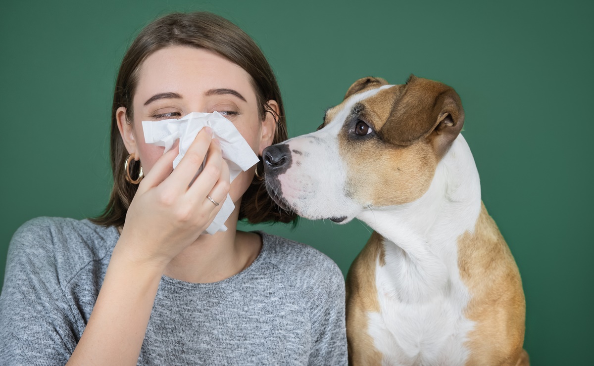 ¿Cómo minimizar los síntomas de alergias ocasionadas por las mascotas?