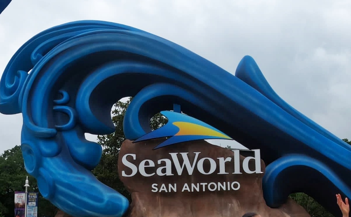 Ubicación, costo y consejos para visitar SeaWorld en San Antonio