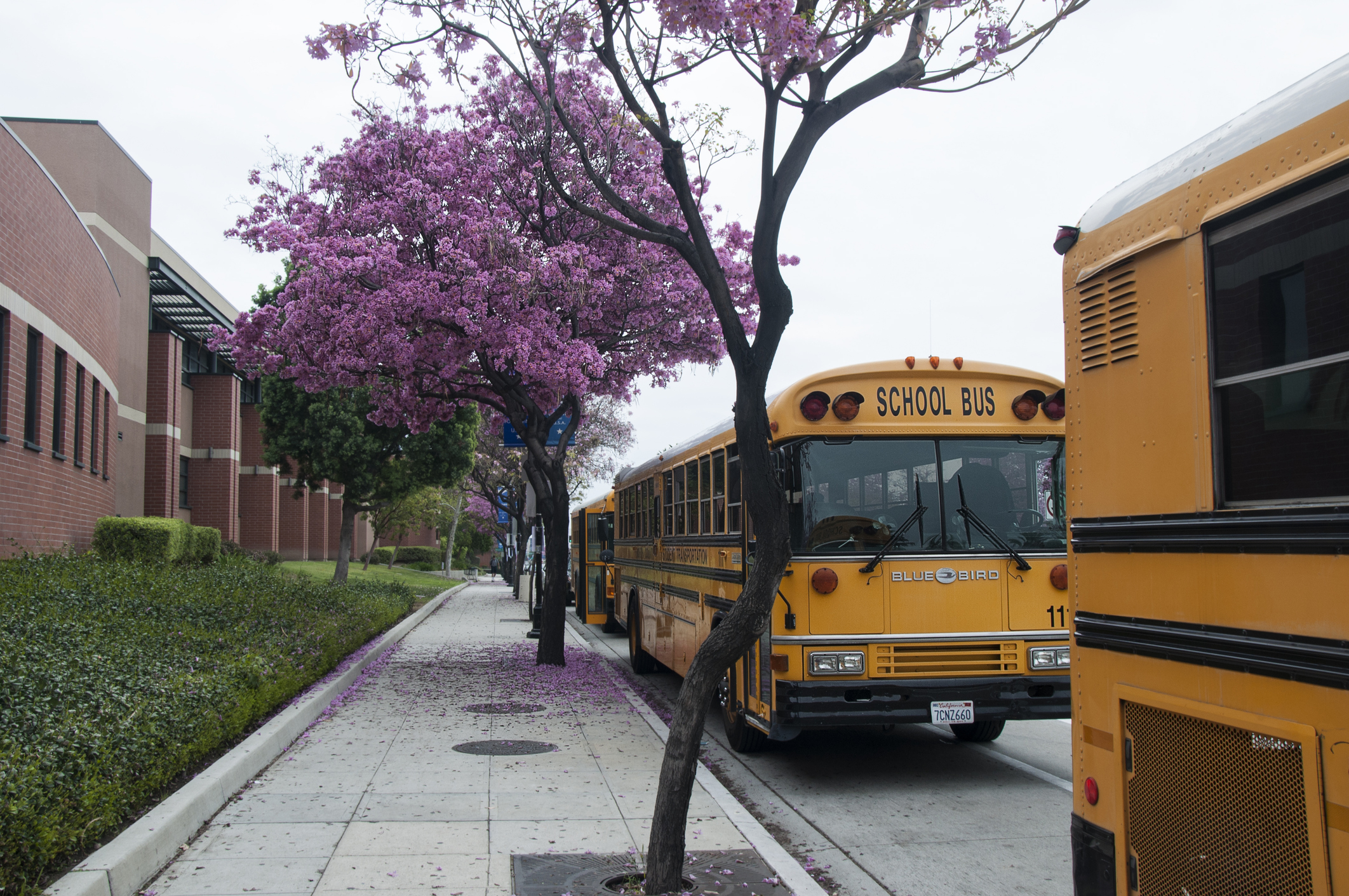 Distrito escolar de Los Ángeles pagará 19,9 millones por abusos sexuales a estudiantes