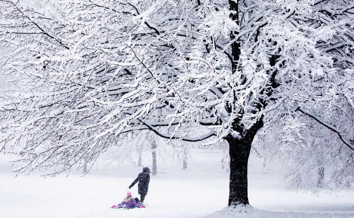 Tormenta invernal paraliza Washington DC