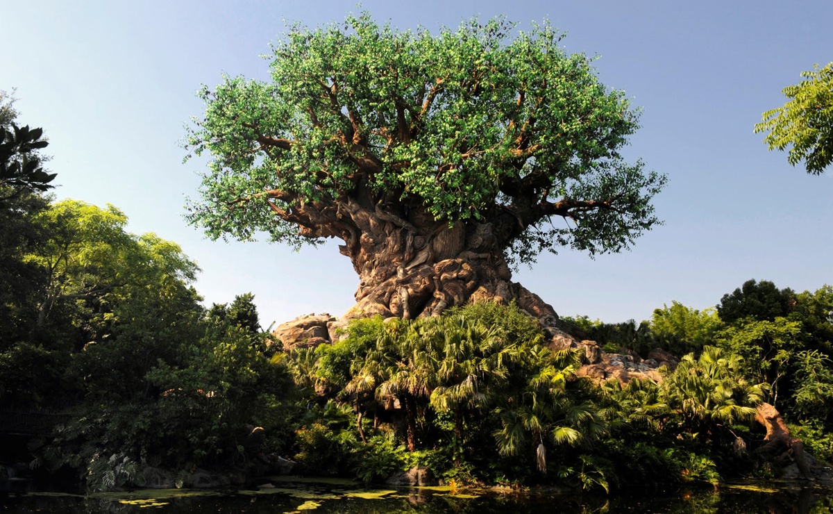 El parque Disney’s Animal Kingdom celebra 25 años resaltando la 'magia' de la naturaleza