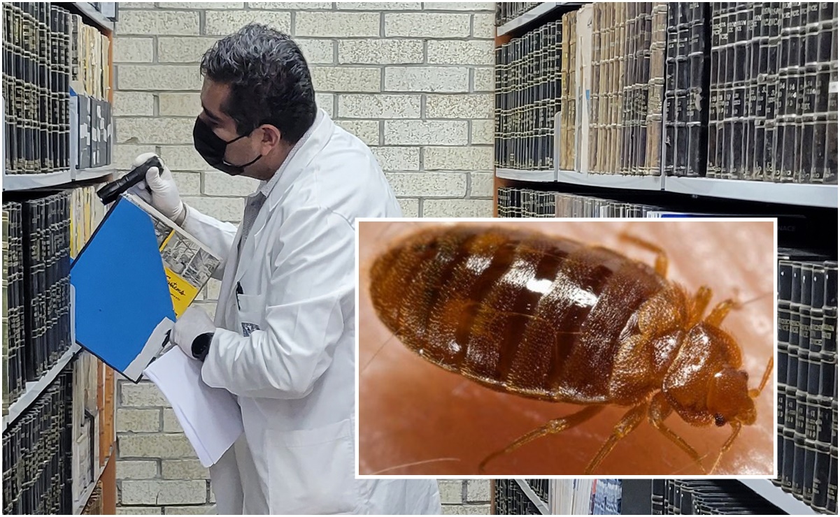 Facultad de Ciencias Políticas de la UNAM reanuda clases presenciales, tras fumigación por chinches 