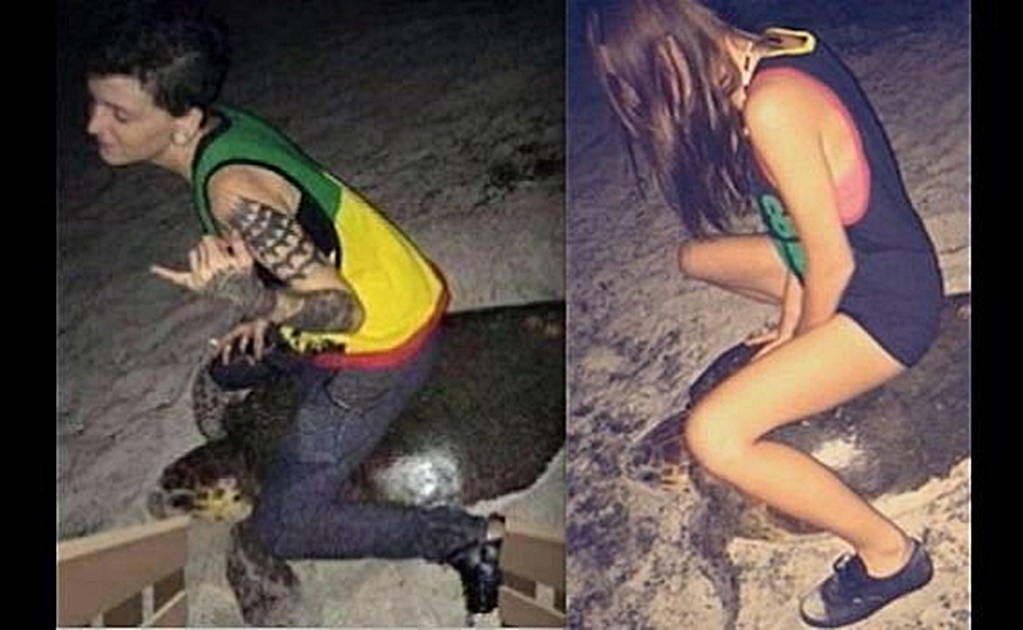 Mujer monta a tortuga marina y publica foto; la arrestan
